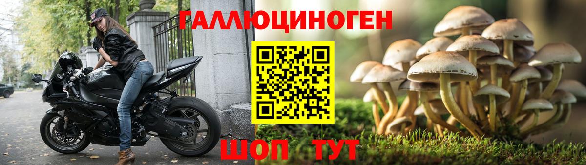 Псилоцибиновые грибы Magic Shrooms Тында