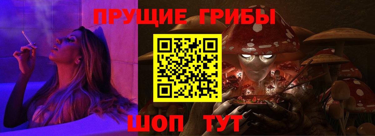 Тында  Галлюциногенные грибы GOLDEN TEACHER  Вход с VPN  Псилоцибиновые грибы Cubensis 